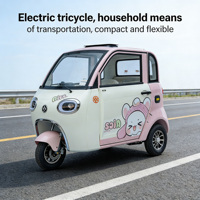 Tricycle électrique léger et fermé pour la mobilité des seniors et les trajets urbains de courte distance
