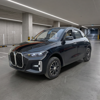 Nouvelle voiture électrique mini SUV 4 portes à faible vitesse pour les trajets quotidiens en famille