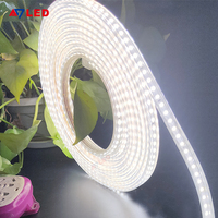 Atenuador exterior de alta calidad 220V SMD2835 120LED/M Dreamcolor Light Strings IP65 impermeable para Touch/App/Control remoto