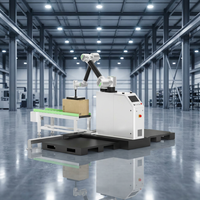 Robot collaboratif à 6 axes, charge utile de 30 kg, cobot palettiseur, manipulateur pour ligne de production alimentaire et de boissons