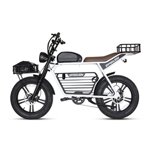 จักรยานไฟฟ้า Dynalion รุ่น Fat Tire Long Range สำหรับผู้ใหญ่ ยางสำหรับปั่นบนภูเขา รุ่น K7-2 K7-2 - Product Image 3