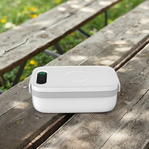 Boîte à lunch électrique portable rechargeable personnalisée 2025 de 1 L avec affichage numérique LED en acier inoxydable, puissance 40 W, pour voiture et usage domestique - Product Image 5