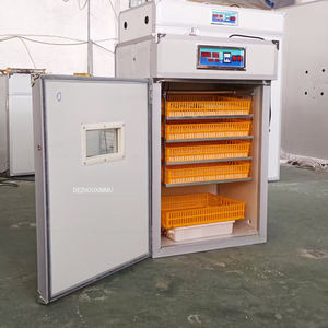 Sıcak Fırsat Küçük Boy Kuş Kuluçka Makinesi 220V Yeni Yüksek Güvenlikli Otomatik %98 Kuluçka Oranı 1 Yıl Garanti - Product Image 3