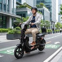 Vélo Électrique Urbain de Haute Qualité, Moteur Brushless 500W, 14 Pouces, Batterie Plomb-Acide 48V 20AH, Cadre en Acier, Moteur Moyeu Arrière, Frein à Tambour