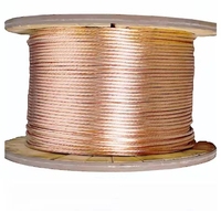 Cable de Alimentación de Acero Revestido de Cobre CCS, Conductor de Alambre de Cobre para Sistemas de Puesta a Tierra de Alta Tensión
