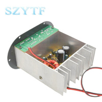 S80B 12V 120W/500W voiture Subwoofer carte amplificateur de basse Tritone Pure Sound ICs pour 8-12 pouces Tube Core