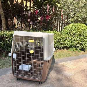 Cage <span class=keywords><strong>de</strong></span> <span class=keywords><strong>transport</strong></span> pour animaux <span class=keywords><strong>de</strong></span> compagnie en plastique PP, grande cage <span class=keywords><strong>de</strong></span> <span class=keywords><strong>transport</strong></span> pour animaux <span class=keywords><strong>de</strong></span> compagnie avec roues, conforme aux normes <span class=keywords><strong>de</strong></span> <span class=keywords><strong>transport</strong></span> aérien - Product Image 1