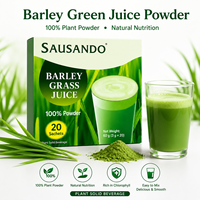 Poudre de jus d'herbe d'orge végétalienne, superaliment vert, boisson détox naturelle à base de plantes, nutrition quotidienne, boisson santé, supplément OEM ODM