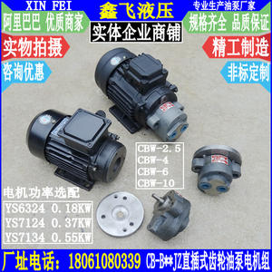 Unidad de Motor de Bomba de Aceite de Engranajes de Accionamiento Directo CBW-B4 B2.5 CBW-B6 CBW-B10 de 0.18KW para Bombeo en Campos Petrolíferos - Product Image 3