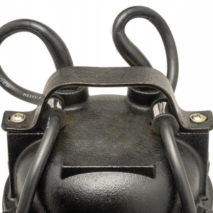 Bomba Sumergible Eléctrica para Aguas Residuales de Alta Presión Serie WQD de 550W y 10000L/h con Impulsor de Hierro Fundido y Flotador OEM - Product Image 2