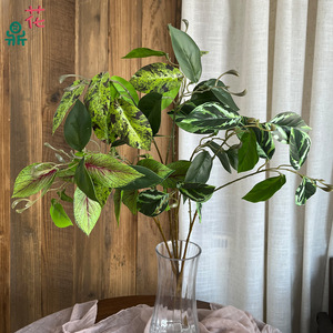 ใบไม้ประดิษฐ์ พลาสติก ตกแต่งบ้าน ตกแต่งร้านอาหาร สไตล์เรียบง่าย - Product Image 1