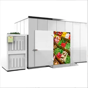 Aidear 20 square meters container freezer solar powered cold room cold storage