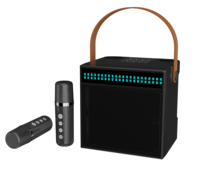 Speaker Karaoke Bluetooth HIFI Kompak Grosir dengan Dua Mikrofon dan Lampu LED RGB Warna-warni untuk Anak-anak dan Pesta Keluarga