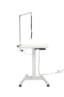 Table de toilettage électrique en acier inoxydable avec éclairage LED, mode mémoire, télécommande, utilisation facile et sûre, pratique YM-AW-202