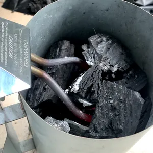 Барбекю аксессуар барбекю инструмент высокого качества Электрический уголь стартер