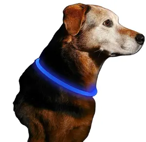 Kingtale Custom Pet Suppliers Dog Accessories USB Rechargeable Flash Dog Necklace Light Collar Dog Lights for Night Walking