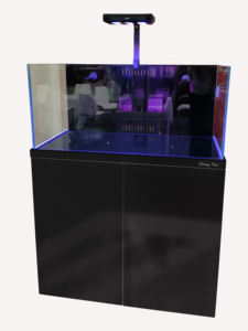 럭셔리 울트라 클리어 유리 현대 직사각형 암초 수족관 어항 거실 해수 해양 수족관 - Product Image 6