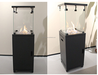 Poêle à foyer de jardin portable au design moderne de haute qualité, intérieur/extérieur, patio à gaz infrarouge à flamme réelle, vente directe d'usine