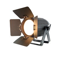 IP65 étanche 100W COB LED projecteurs blanc chaud gradateur stroboscope DMX scène TV Studio théâtre lumière Barndoor pour Par lumière DMX512