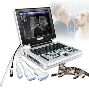 Máquina <span class=keywords><strong>de</strong></span> Diagnóstico por Ultrasonido en Blanco y Negro a <span class=keywords><strong>Precio</strong></span> <span class=keywords><strong>de</strong></span> Fábrica, Equipo <span class=keywords><strong>de</strong></span> Diagnóstico Veterinario en Oferta - Product Image 1