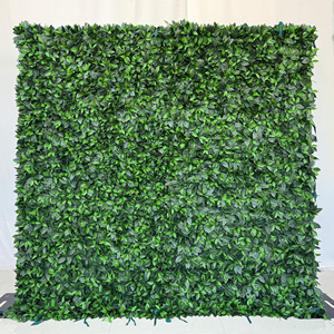 Mur végétal artificiel en tissu, mur de buis et mur de haie pour décorations de mariage, de la Saint-Valentin ou de remise <span class=keywords><strong>des</strong></span> diplômes - Product Image 5