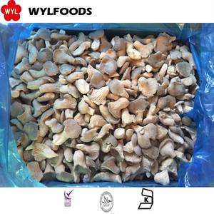 <span class=keywords><strong>IQF</strong></span> fungo di ostrica tagliato a dadini di funghi di ostrica congelati alla rinfusa per il commercio all'ingrosso e al dettaglio - Product Image 2