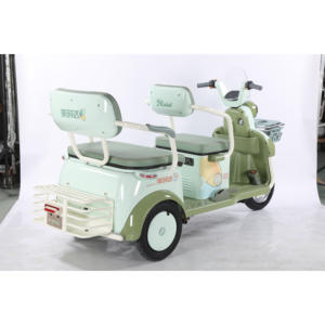 Triciclo Eléctrico Abierto de Alta Calidad, el Más Vendido, Ideal para Desplazamientos Diarios y Recogida y Entrega Escolar - Product Image 2