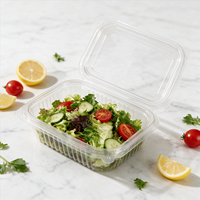 Saladebak PP met deksel, diverse inhoud, transparant, food grade verpakking, geschikt voor fruit, magnetronbestendig, restaurant, supermarkt