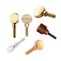 Custom Brass Screw Alto Sax Repair Maintenance Kit Set Wind Musical Instrument Parts Accessories for Saxophone