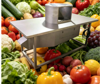 Hoge Efficiëntie Keuken Multifunctionele Fruit- en Groentesnijder Automatische Multifunctionele Groentesnijder