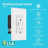 Interrupteur mural intelligent Wifi de haute qualité avec prise intégrée, télécommande, vente en gros en Chine à bas prix Max. Courant 15a
