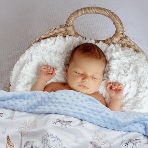 Couverture pour tout-petits livraison rapide couverture à pois en Minky <span class=keywords><strong>de</strong></span> <span class=keywords><strong>luxe</strong></span> Double couche impression personnalisée couvertures en Minky pour tout-petits nouveau-nés - Product Image 4