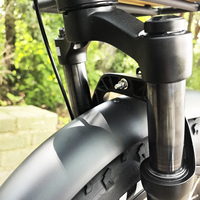 Tricycle électrique à 3 roues de 20''x4.0'' avec moteur arrière de 250 W, 7 vitesses, batterie lithium-ion, stock UE, vélo cargo électrique