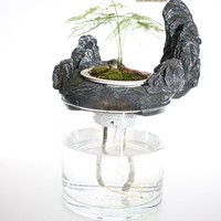Vase décoratif hydroponique sur pied en verre et résine, design rocheuse cylindrique, pour poissons et tortues, idéal pour salon