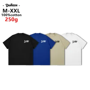 Wholesale Custom Plus Size Oversize White Vintage Streetwear Plain 250 Gsm Heavyweight Cotton T Shirt For Men High Quality