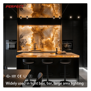 Láminas de Iluminación LED Ultrafinas y Flexibles de 10 m y 24 V, Retroiluminadas, CCT 3000K, Atenuables, Cortables, IP20, Impermeables, para Paisajismo - Product Image 2