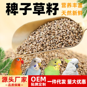 Natural Barnyard <b>Grass</b> Seed Bird Food Mixed Ingredients Easily Digestible Grains For Parrot Cockatiel Pet <b>Feeding</b> 1200ml 4000ml - Product Image 5