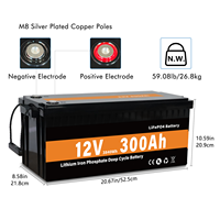 Baterai Lithium LiFePO4 12V300Ah OEM Pabrik untuk Penyimpanan Produk Tenaga Surya Li-ion