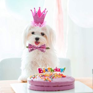 Conjunto de Fiesta de Cumpleaños <span class=keywords><strong>para</strong></span> Mascotas, Color Rosa, con Vestido, Falda, Pañuelo, Corona, Sombrero, Globo y Pastel, Disfraz <span class=keywords><strong>para</strong></span> Perro Hembra - Product Image 3