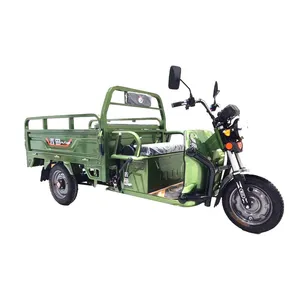 Genuine Fashion Cheap 750W 500W Fat Tire 3 Wheel Cargo Carriage Box Adult Electric Motor Tricycle