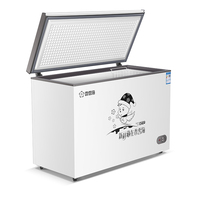 Congélateur Coffre Électrique BD-400 Homologué CE à Ouverture par le Dessus, Porte Unique, Profond, avec Serrure, Lumière LED, Température Unique, Grand Congélateur au Propane
