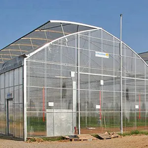 skyplant多跨Venlo型pc板温室寿命长