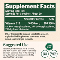 Usine GMP OEM ODM – Gouttes sublinguales de méthylcobalamine (Vitamine B12) – Soutien au métabolisme énergétique – Complément alimentaire liquide de Vitamine B12