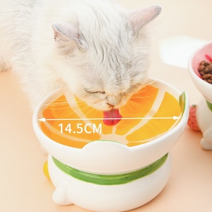 陶瓷猫碗加高斜口护颈食物水槽环保水果设计宠物食盘宠物配件用品 - Product Image 4