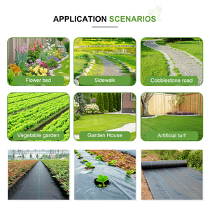 <span class=keywords><strong>Malla</strong></span> Antihierbas Agrícola Moderna XJR, Tela de Barrera Contra Malezas de PP para Jardín, <span class=keywords><strong>Malla</strong></span> Antihierbas Permeable, Geotextil para Invernadero - Product Image 5