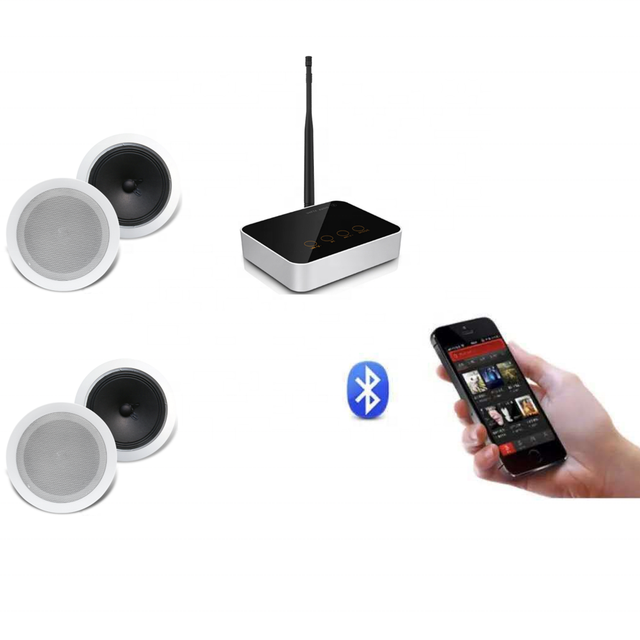 Public Address System Wireless Home Theater Music System Ceiling Mount Wireless Speakers and Receiver