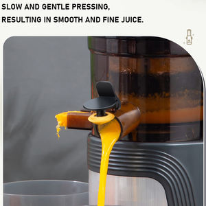 Customized Vegetable Fruit Orange Extractor Electric Household Quiet Motor Multifunctional Masticating Slow <strong>Juicer</strong> - Product Image 6