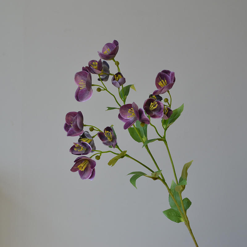 มณฑลเบอร์กันดี