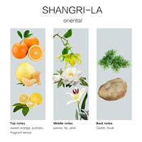 Crearoma Shangari-La Huile parfumée pour diffuseur Huile parfumée Ylang-Ylang sans eau pour spa, hôtel