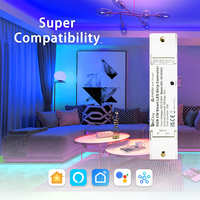 Contrôleur de bande LED RGB CW Bilihondim Matter 1 canal, compatible Google Assistant, 24/12V, couleurs complètes, contrôle sans fil, économie d'énergie